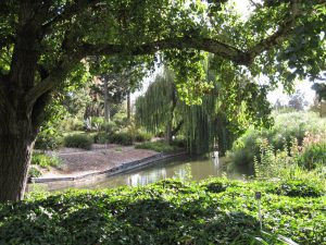 View of Adelaide's botanic gardens