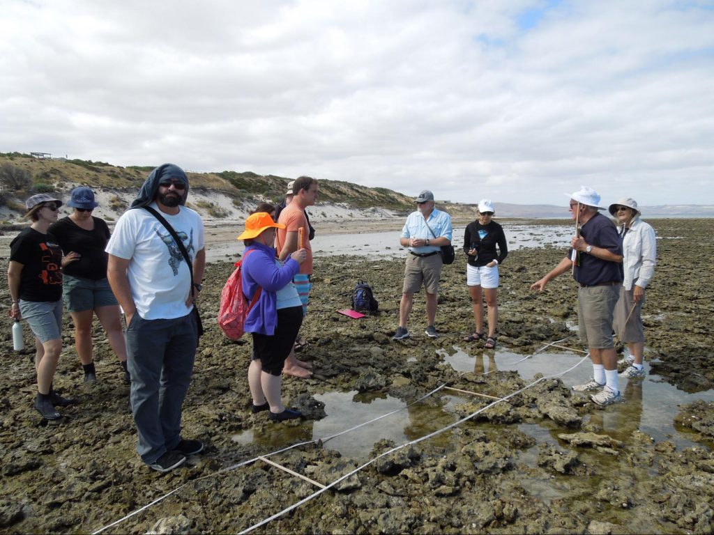 Gathering at the seaside for a survey