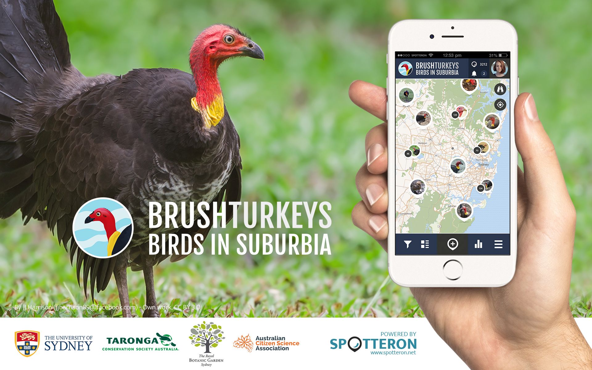 Building the BrushTurkey app