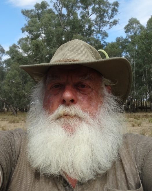 On the Wallaby