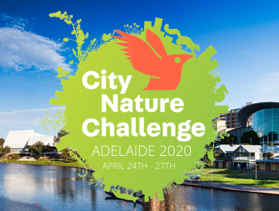 Adelaide takes on the Challenge!