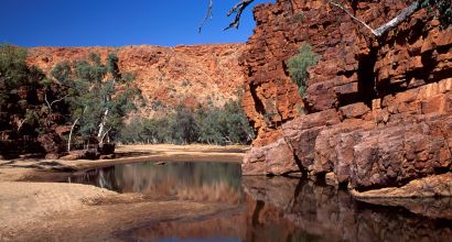 NESP Grants Open