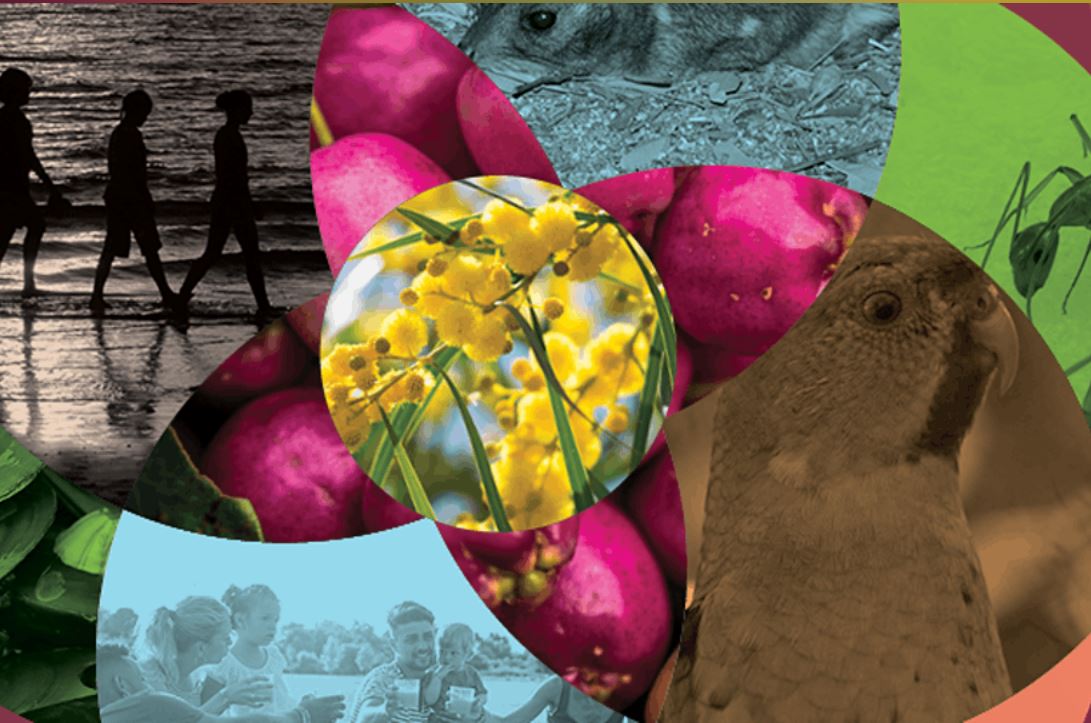 Environmental biosecurity webinar series – begins in 2 weeks