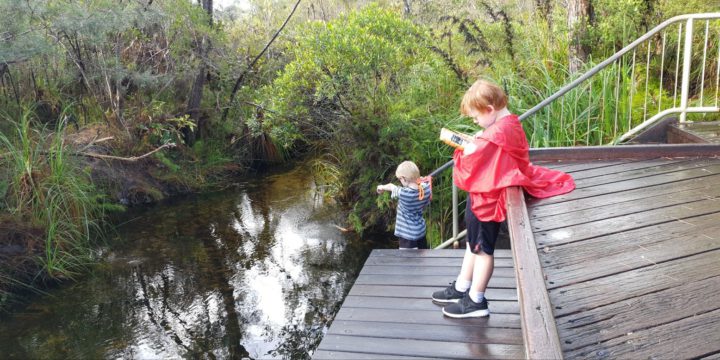 Citizen Science and Education