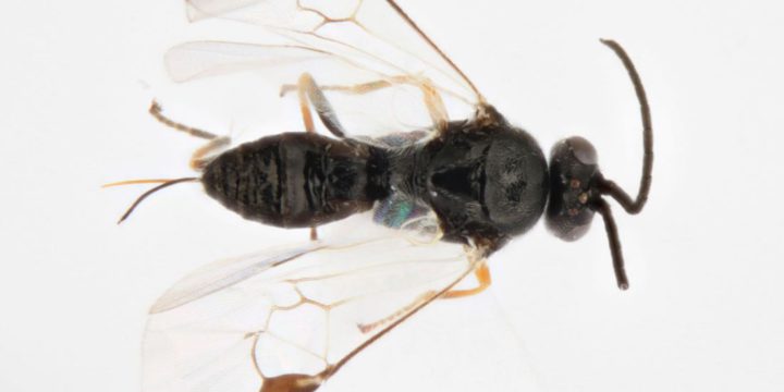 From Seed Grant to published paper!
