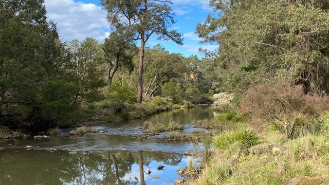 River Health Assessments Underway in Wingecarribee thanks to ACSA Seed Grant