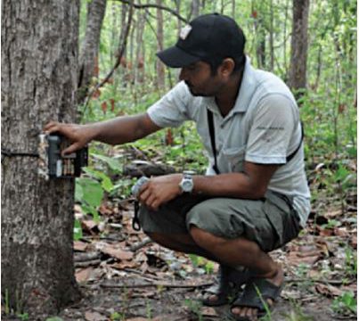 ForestEye in the Spotlight during National Science Week