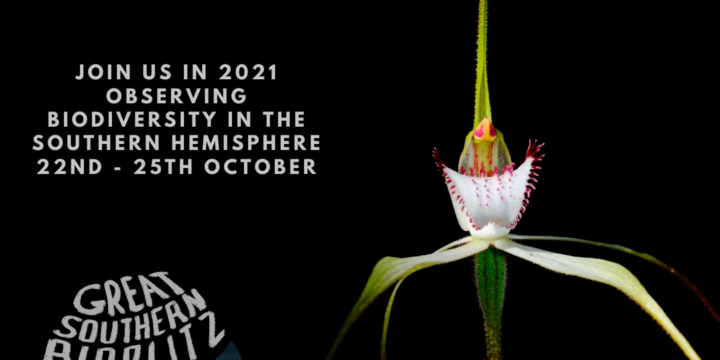Great Southern BioBlitz 2021