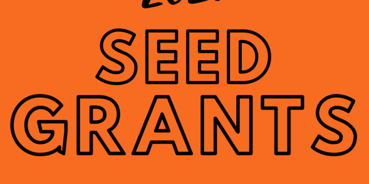Seed Grants 2001 – Call for applications!