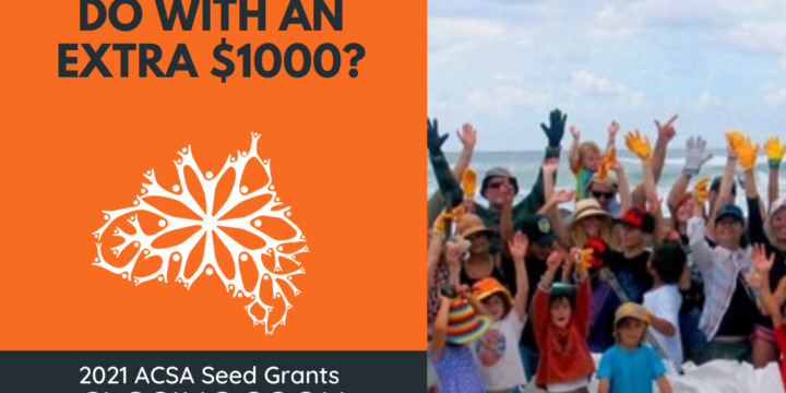 ACSA Seed Grants closing tomorrow