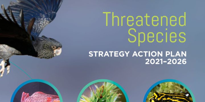Threatened Species Action Plan launched