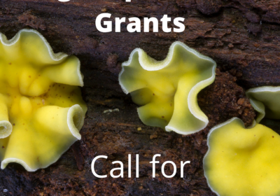 Fungimap Research Grants open!