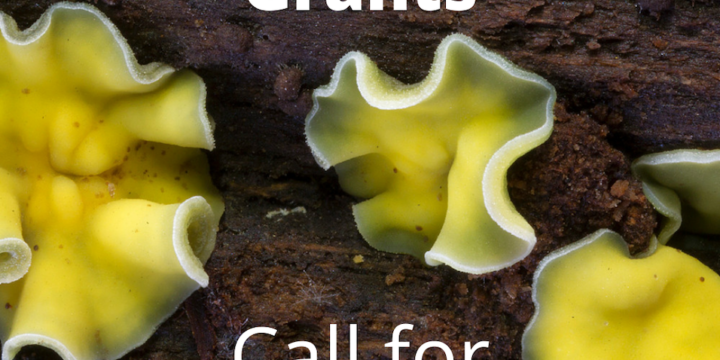 Fungimap Research Grants open!