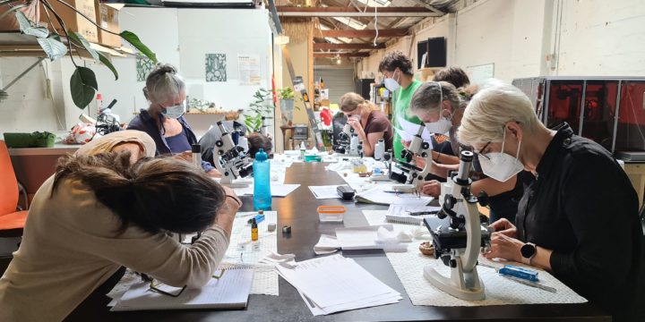 2021 Seed Grant – MYOCOmmunity Applied Mycology Progress Report