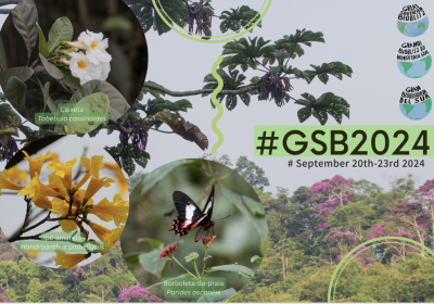 Exploring the Power of Citizen Science and Nature Connection: The Great Southern Bioblitz Journey