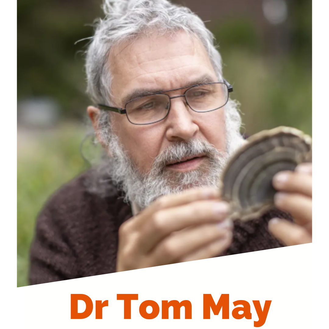 Dr Tom May web