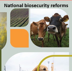 Citizen Science Gets a Mention — But Is It Enough? Submissions to the National Biosecurity Reform 2026
