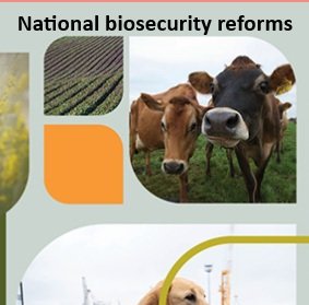 Citizen Science Gets a Mention — But Is It Enough? Submissions to the National Biosecurity Reform 2026