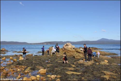 CC-BY Attribution [ACSA] Tidal pool volunteers