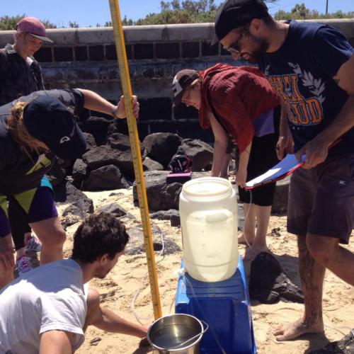 CC-BY Attribution [Port Philip EcoCentre] Citizen Science 