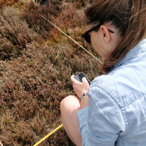 CC-BY Attribution [Seamus Doherty]  Citizen Science12