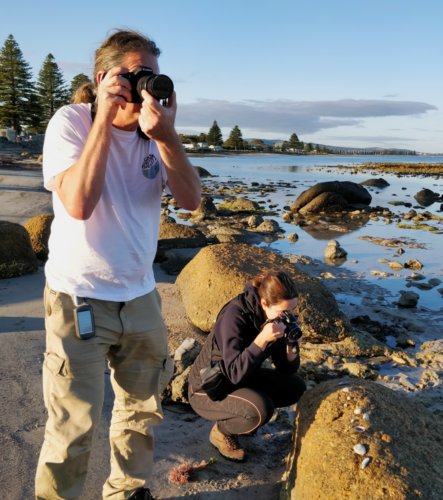 CC-BY Attribution [Seamus Doherty]  Citizen Science5